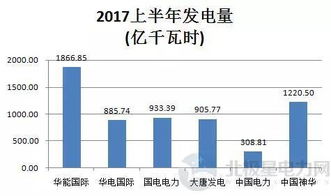 五大發(fā)電集團(tuán)與神華集團(tuán)旗下典型上市公司上半年業(yè)績(jī)分析 輸電業(yè)務(wù)誰是贏家？